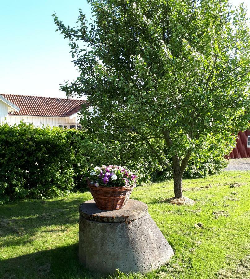 Stenaberg Kungsbacka Exterior photo